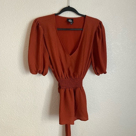 Bobeau Smocked Tie Back V-Neck Blouse XL Rust - Picture 2 of 8
